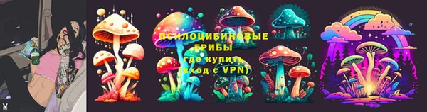 молекула духа Гатчина