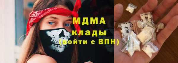 прущие грибы Осинники