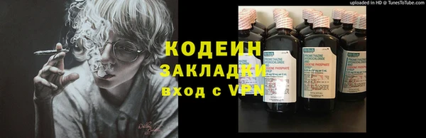 прущие грибы Осинники
