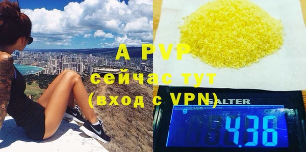 прущие грибы Осинники