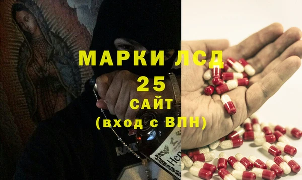прущие грибы Осинники