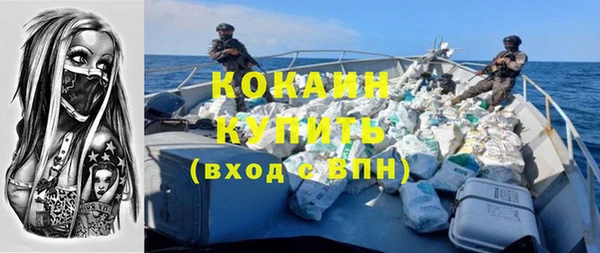 шишки Нязепетровск