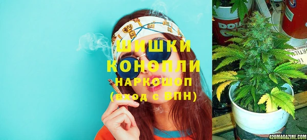 PSILOCYBIN Остров