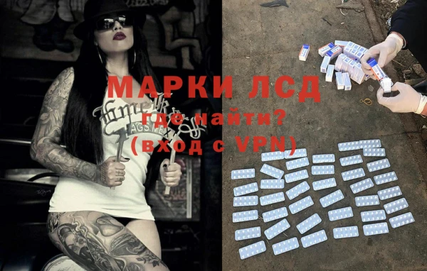 прущие грибы Осинники