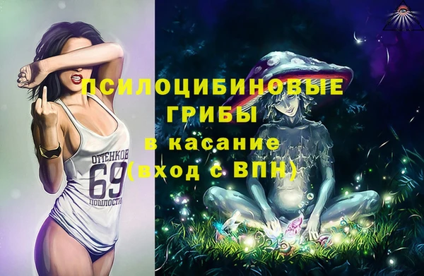 PSILOCYBIN Остров