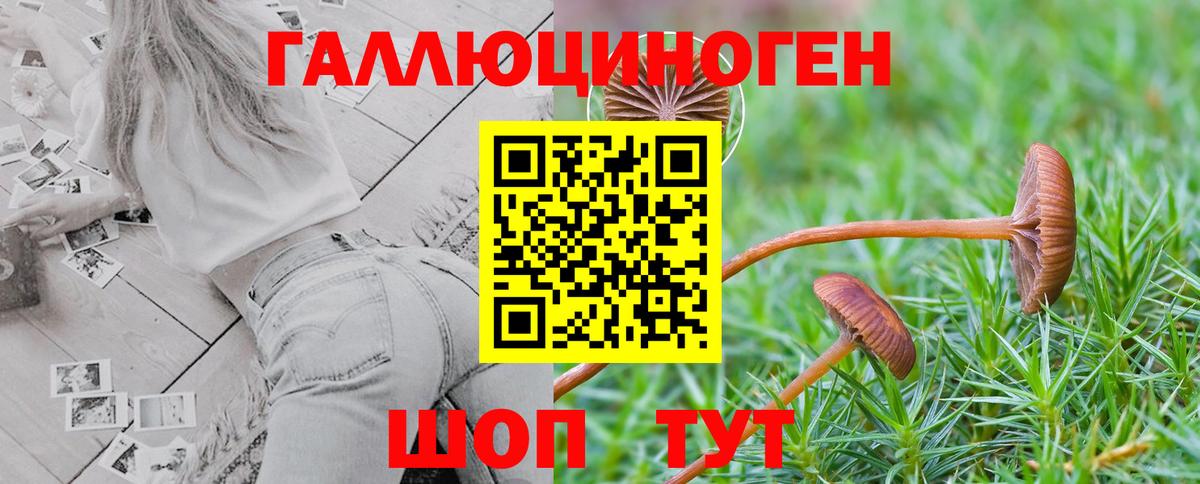 Галлюциногенные грибы прущие грибы Осинники
